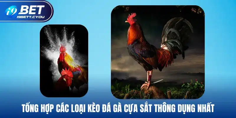 Tổng hợp các loại kèo đá gà cựa sắt thông dụng nhất